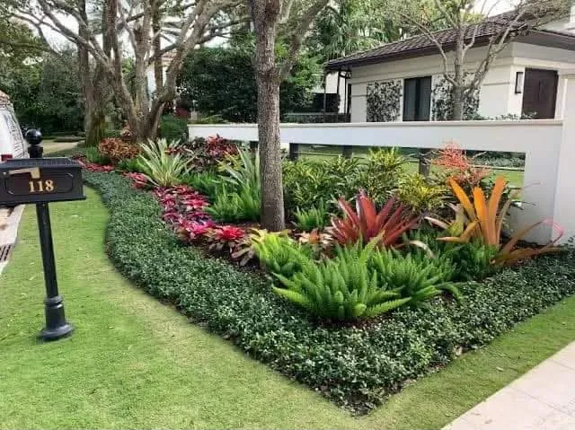 Decorative foliage plants arranged in nursery pots