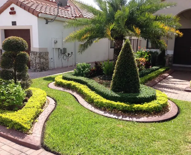 Formal residential garden with curved lawn edging