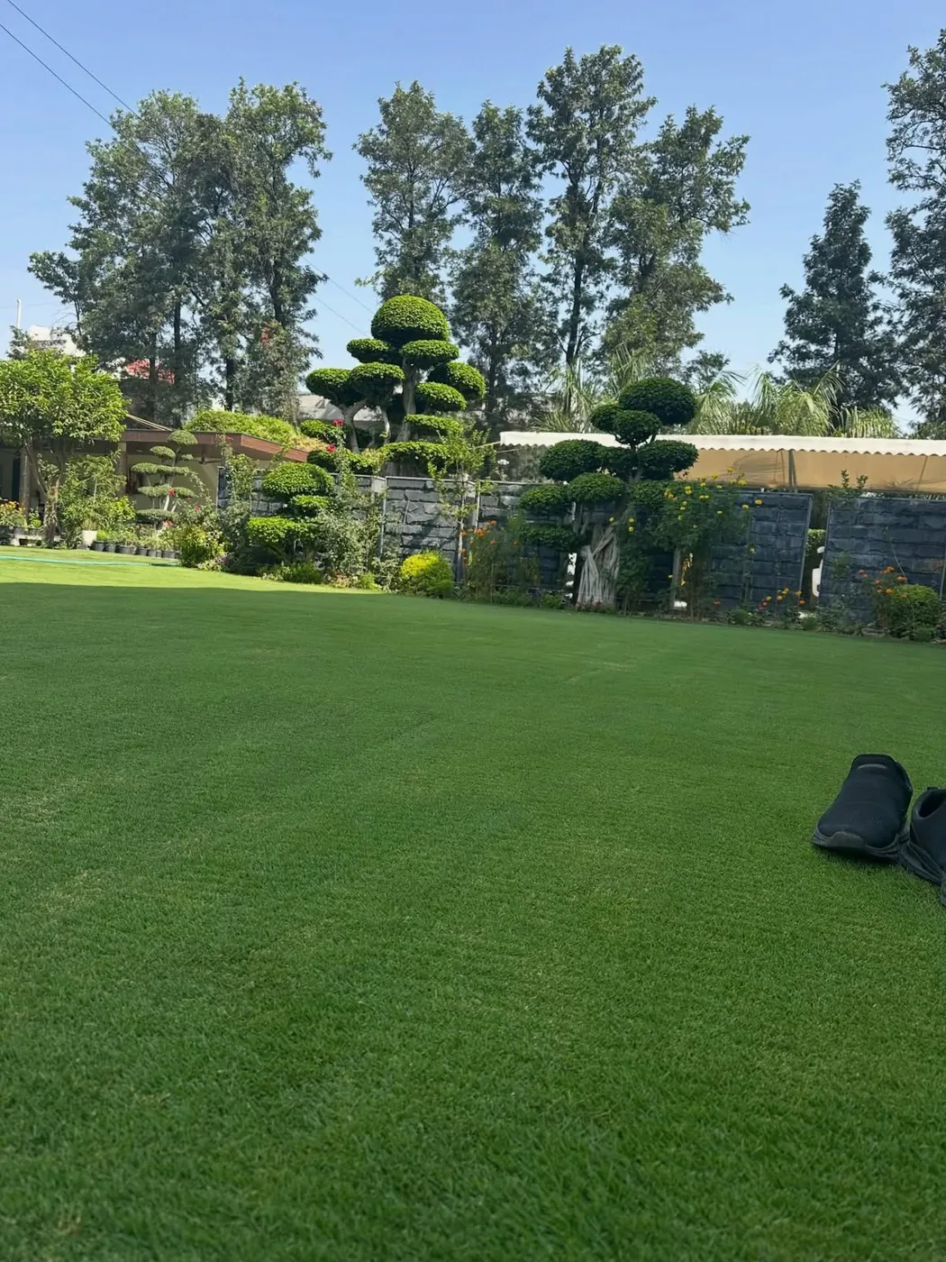 Artificial Turf Installation work by Jagdamba Nursery