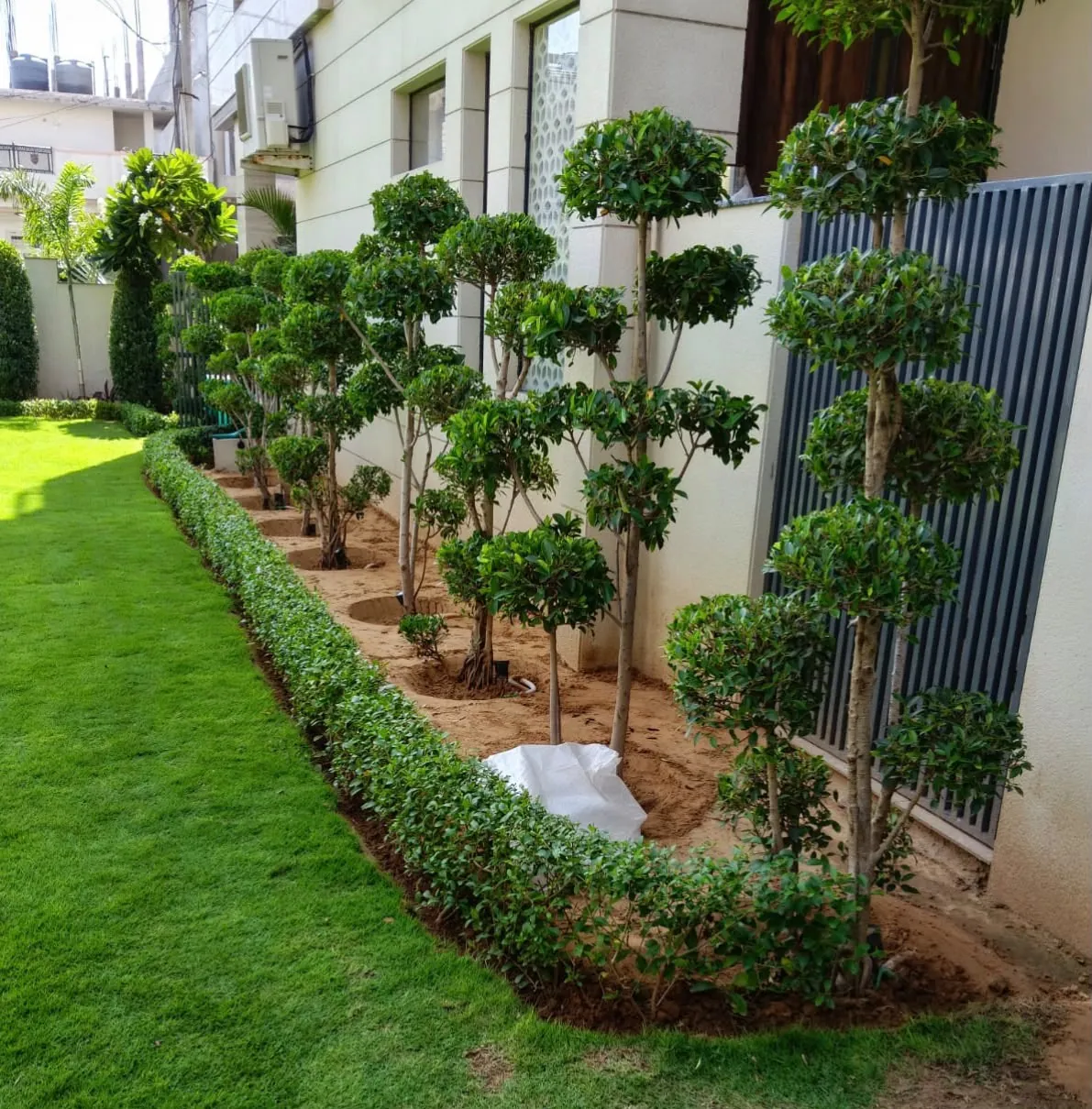 Detailed garden topiary and lawn landscaping