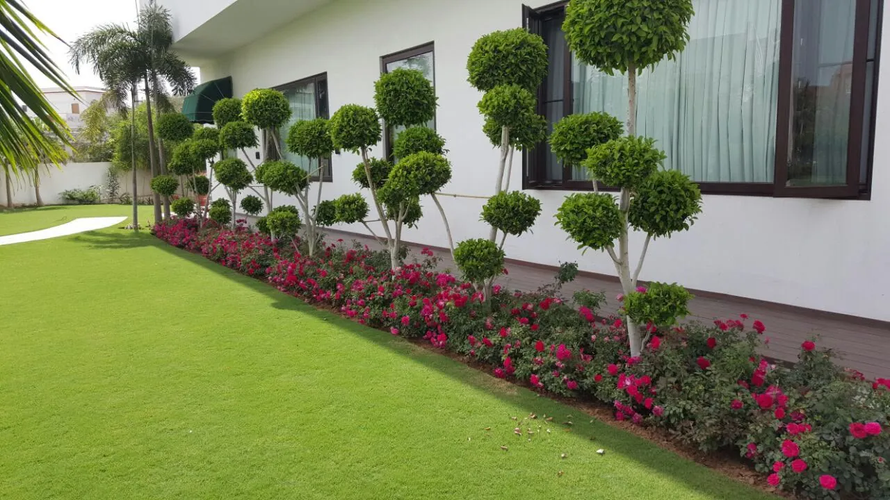 Tree Landscaping work by Jagdamba Nursery